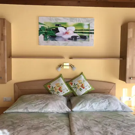 Haus Scharl 公寓 格罗萨尔