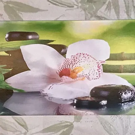 Haus Scharl דירה גרוסארל