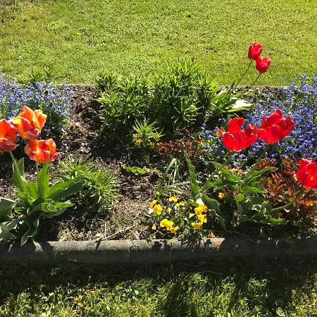 Haus Scharl דירה *