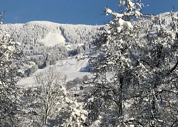 Haus Scharl * Grossarl