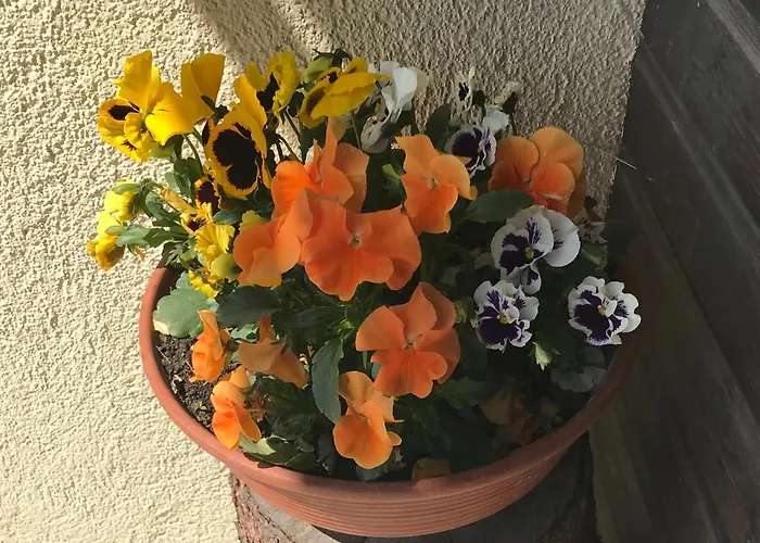 Appartement Haus Scharl *