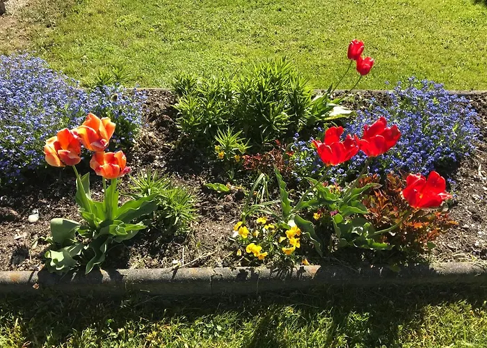 Haus Scharl Appartement *